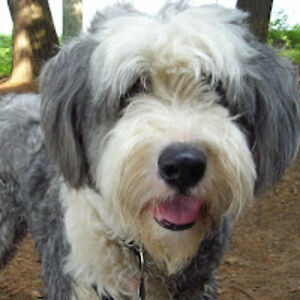 elainewarnerlaxton avatar