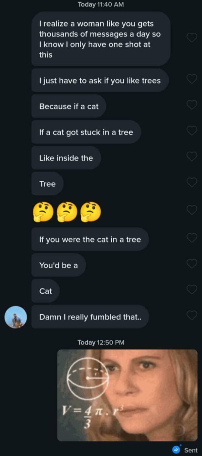 Humorous Tinder post with a failed cat joke and a confused math meme reaction.