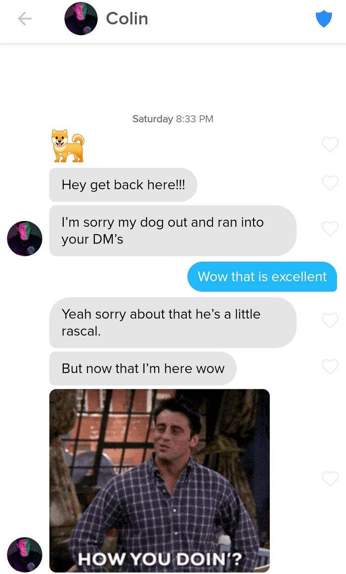 Humorous Tinder post with a playful conversation about a dog running into DMs, ending with a "How you doin'?" meme.