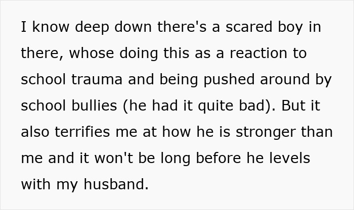 Text detailing a mother's concern about her autistic son's aggression after school trauma. Text detailing a mother's concern about her autistic son's aggression after school trauma.
