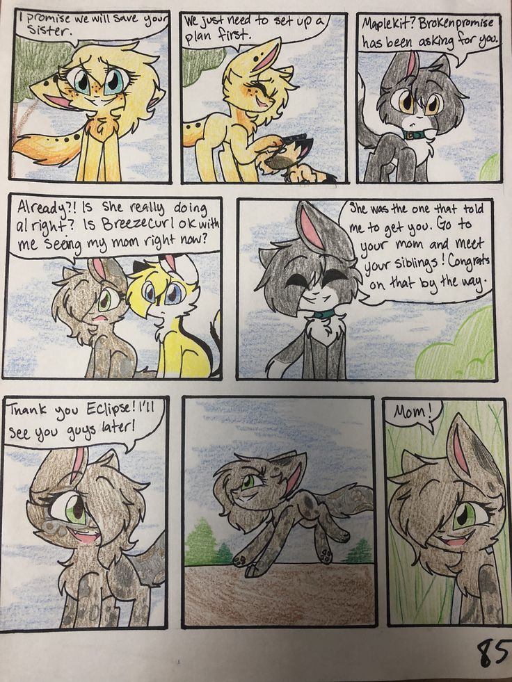 “My Dog Saved My Life”: I Created 10 Comics About Cats