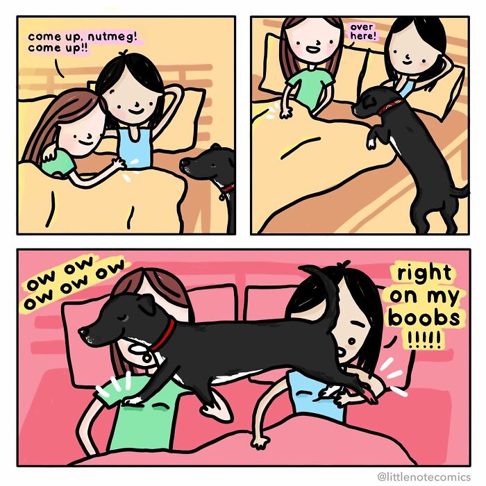 From Sticky Notes To A Webcomic: 20 Illustrations Of An Artist’s Relationship With Her Partner (New Pics)