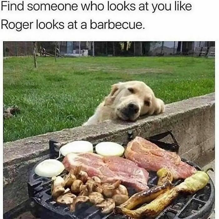 Funny-Wholesome-Dog-Memes