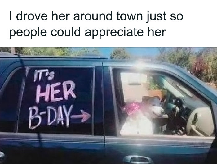 Funny-Wholesome-Dog-Memes