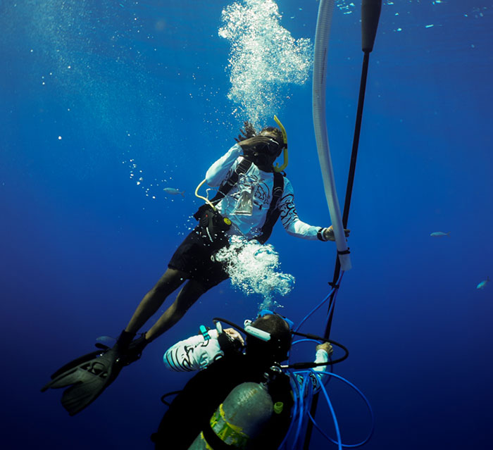 AI Is Translating Whale Language, Which May Help Us Communicate With Extraterrestrials One Day AI Is Translating Whale Language, Which May Help Us Communicate With Extraterrestrials One Day