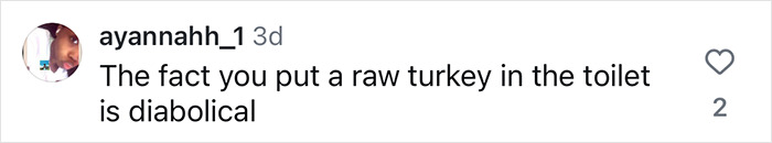 Comment criticizing cooking a turkey in a toilet as diabolical. Comment criticizing cooking a turkey in a toilet as diabolical.