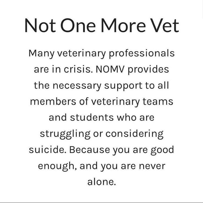 "So Heartbreaking": Vet Ends His Life After Rich Owners Neglected Pets And Demanded Euthanasia "So Heartbreaking": Vet Ends His Life After Rich Owners Neglected Pets And Demanded Euthanasia