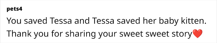This Rescue Dog And A Stray Kitten Became Best Friends, Breaking Stereotypes Of Cats And Dogs This Rescue Dog And A Stray Kitten Became Best Friends, Breaking Stereotypes Of Cats And Dogs