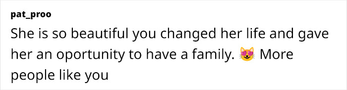 This Rescue Dog And A Stray Kitten Became Best Friends, Breaking Stereotypes Of Cats And Dogs This Rescue Dog And A Stray Kitten Became Best Friends, Breaking Stereotypes Of Cats And Dogs