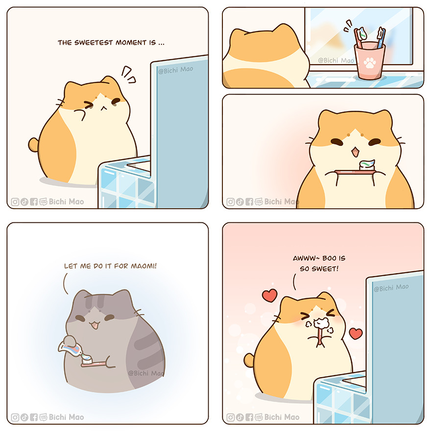New Wholesome Comics By Olive Yong Showing The Sweet And Naughty Side Of Chubby Cats