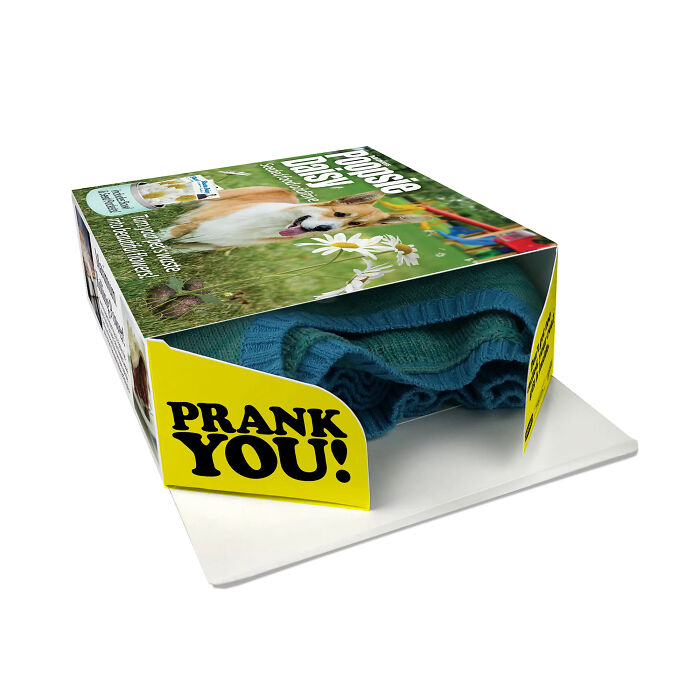 5 Hilarious Fake Gift Boxes To Seriously Confuse Your Friends And Family (New Pics) 5 Hilarious Fake Gift Boxes To Seriously Confuse Your Friends And Family (New Pics)