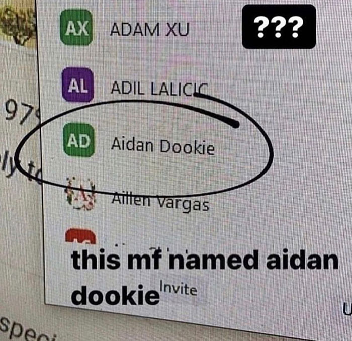 Meme screenshot of a virtual meeting participant list highlighting the unusual name 'Aidan Dookie,' adding to the trend of humorous names. Meme screenshot of a virtual meeting participant list highlighting the unusual name 'Aidan Dookie,' adding to the trend of humorous names.