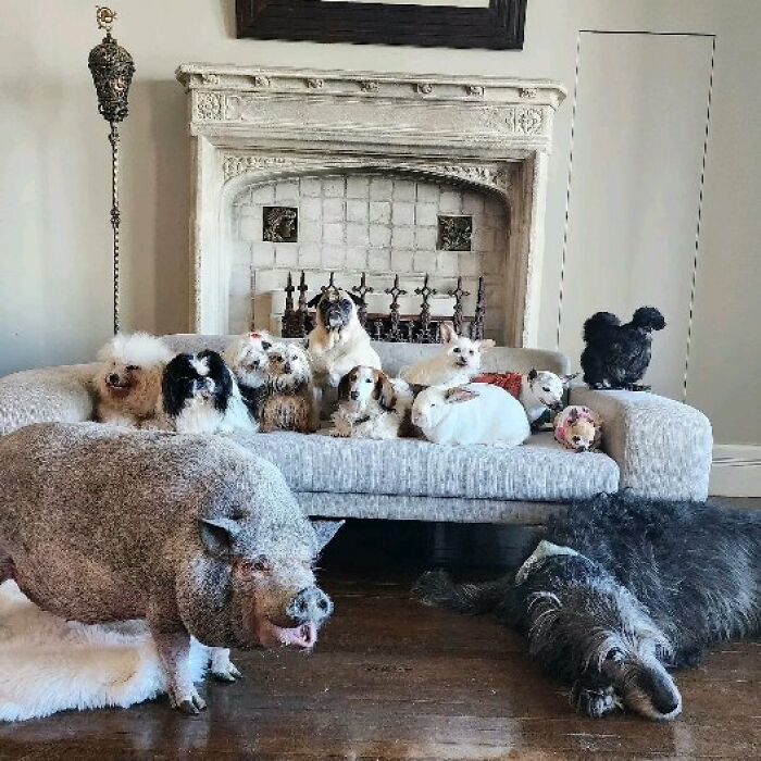 Retiree Is On A Mission To Give Loving Home Exclusively To Senior Dogs In Need Retiree Is On A Mission To Give Loving Home Exclusively To Senior Dogs In Need