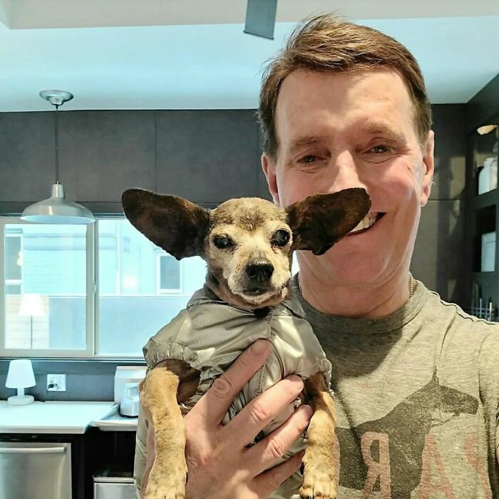 Retiree Is On A Mission To Give Loving Home Exclusively To Senior Dogs In Need Retiree Is On A Mission To Give Loving Home Exclusively To Senior Dogs In Need