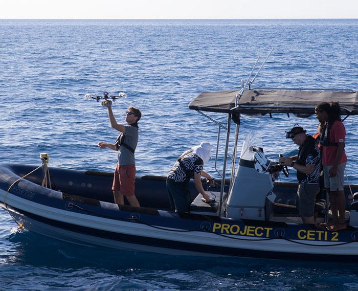 AI Is Translating Whale Language, Which May Help Us Communicate With Extraterrestrials One Day AI Is Translating Whale Language, Which May Help Us Communicate With Extraterrestrials One Day