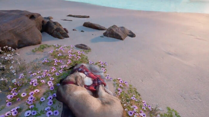 This Man Found A Beautiful Way To Relive The Final Memory With His Dog Who Passed Away This Man Found A Beautiful Way To Relive The Final Memory With His Dog Who Passed Away