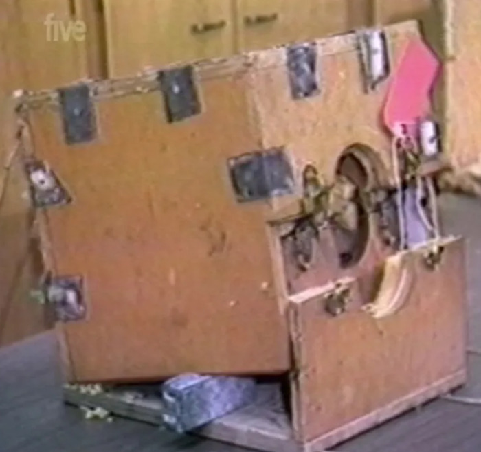 Woman Opens Up About Being Kidnapped, Imprisoned, And Tortured By Married Couple For 7 Years Woman Opens Up About Being Kidnapped, Imprisoned, And Tortured By Married Couple For 7 Years