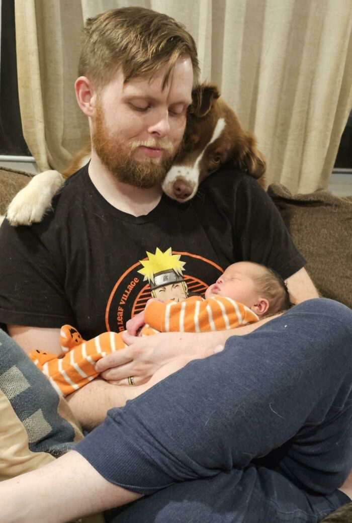 These Dogs Have Been Fawning From A Distance Over Couple’s Newborn Daughter These Dogs Have Been Fawning From A Distance Over Couple’s Newborn Daughter