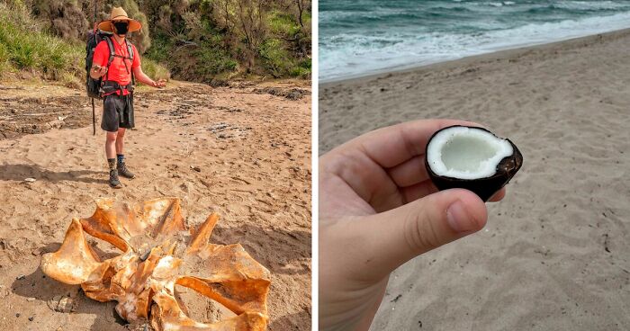 111 Times People Found Quirky Treasures Washed Ashore (New Pics)