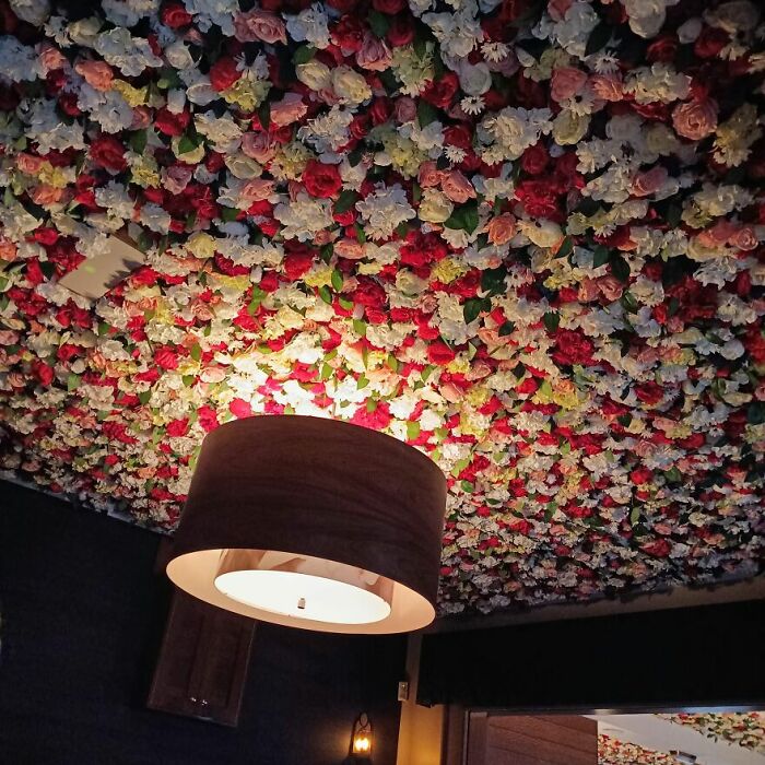 Italian Restaurant Has Roof Like This All Over The Restaurant, Gives Slightly Drop Spider Fears Xd