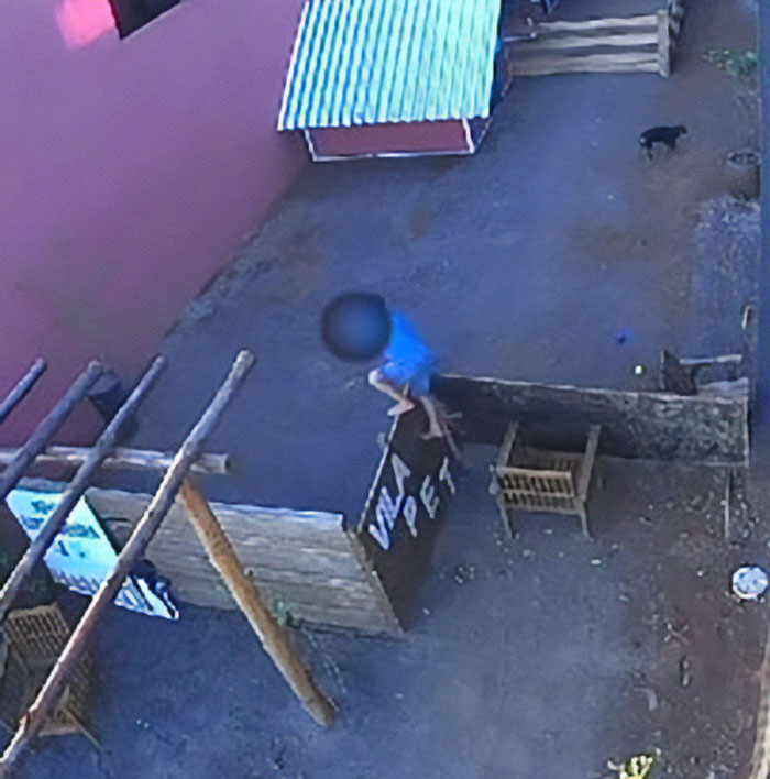 "Tragic Story": After 9YO Brutally Attacked 23 Animals, Psychopathy Expert Debunks Myths "Tragic Story": After 9YO Brutally Attacked 23 Animals, Psychopathy Expert Debunks Myths