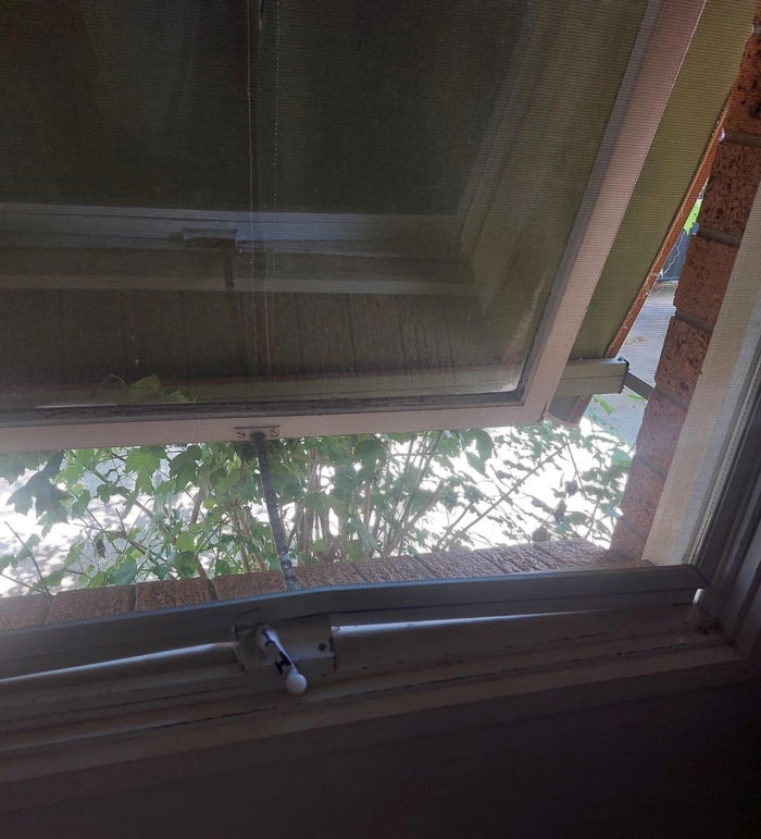 Open window with view of plants, related to 20YO losing keys and parents breaking inside. Open window with view of plants, related to 20YO losing keys and parents breaking inside.