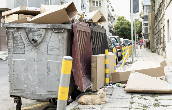Overflowing dumpster on a street; trash scattered, symbolizing covertly trashed items. Overflowing dumpster on a street; trash scattered, symbolizing covertly trashed items.