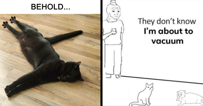 “For The Kitty In U”: 109 Adorable And Relatable Cat Memes
