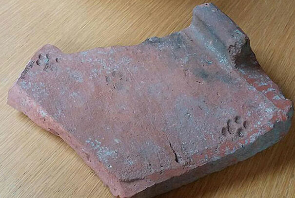 clay-paw-print-cat-roman-tile-gloucestershire-1-6741268250565.jpg