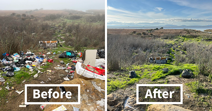 Guy Who Cleans Up Bay Area Gets To Enjoy The Fruit Of His Work As He Witnesses The Nature Return