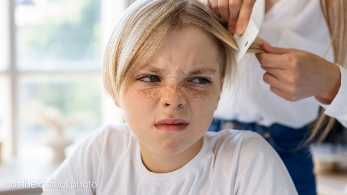 Woman Thinks Her Housekeeper Is Ridiculous To Be Afraid Of Lice Infestation At Her Home