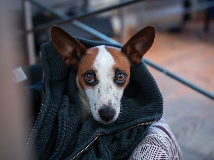 "Man, I Freaking Hate People": 35 Habits That Make Others Lose Their Cool