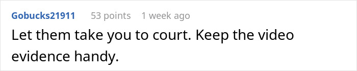 Comment suggesting to keep video evidence ready for court regarding a dog bite incident. Comment suggesting to keep video evidence ready for court regarding a dog bite incident.