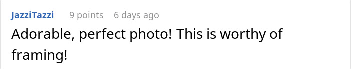 These Dogs Have Been Fawning From A Distance Over Couple’s Newborn Daughter These Dogs Have Been Fawning From A Distance Over Couple’s Newborn Daughter