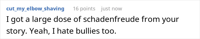 Comment expressing schadenfreude over a story about a bullied teen and a bully's failure. Comment expressing schadenfreude over a story about a bullied teen and a bully's failure.