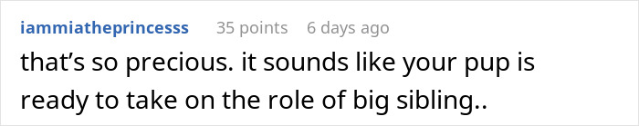 These Dogs Have Been Fawning From A Distance Over Couple’s Newborn Daughter These Dogs Have Been Fawning From A Distance Over Couple’s Newborn Daughter