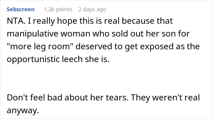 Text comment criticizing a mother's failed attempt to take over a plane seat, calling her manipulative and opportunistic. Text comment criticizing a mother's failed attempt to take over a plane seat, calling her manipulative and opportunistic.