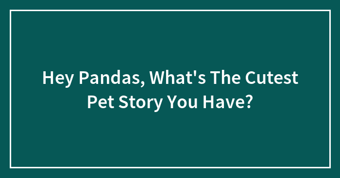 Hey Pandas, What’s The Cutest Pet Story You Have? (Closed)