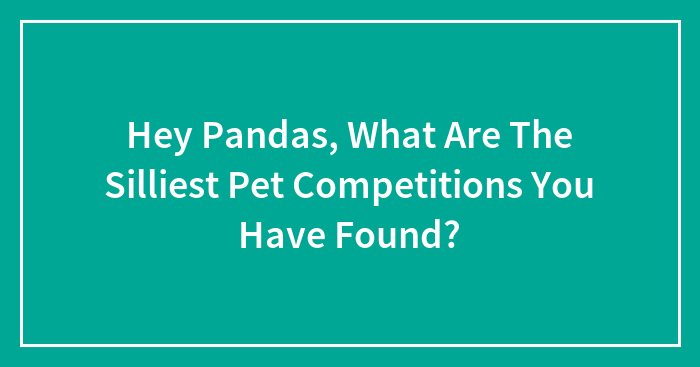 Hey Pandas, What Are The Silliest Pet Competitions You Have Found? (Closed)