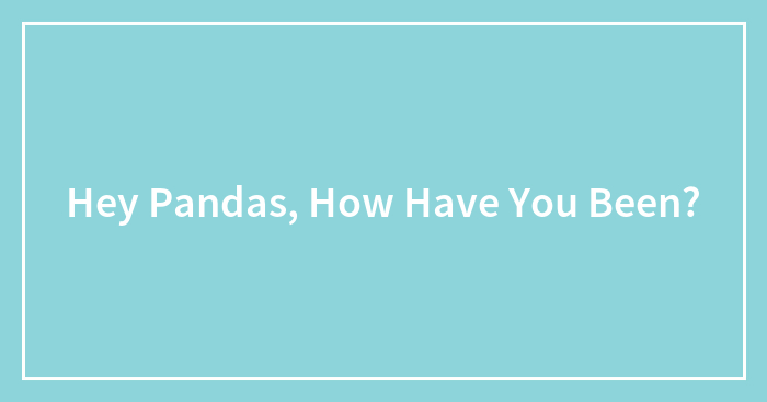 Hey Pandas, How Have You Been? (Closed)
