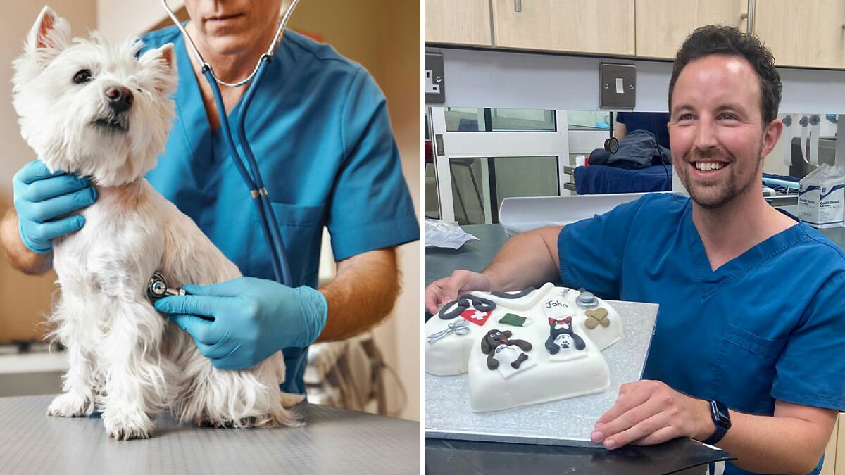 “So Heartbreaking”: Vet Ends His Life After Rich Owners Neglected Pets And Demanded Euthanasia