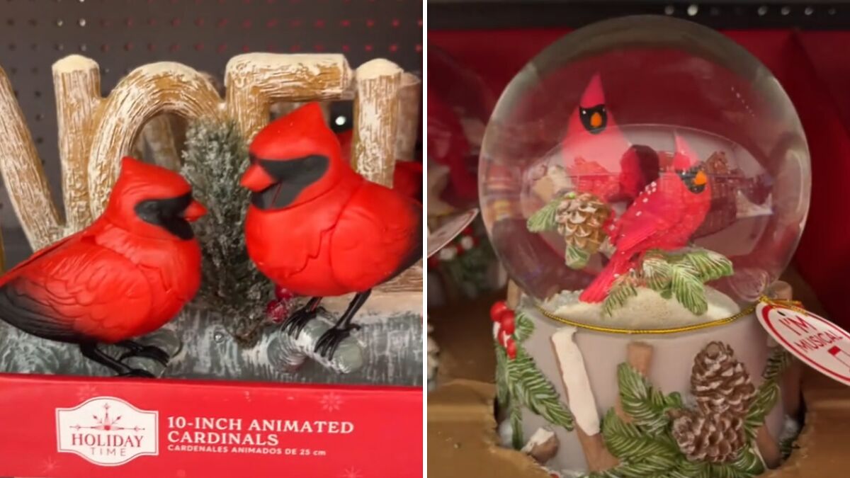 Walmart’s “Gay” Christmas Birds Spark Frenzy: “Don’t Think [They] Did Their Research”