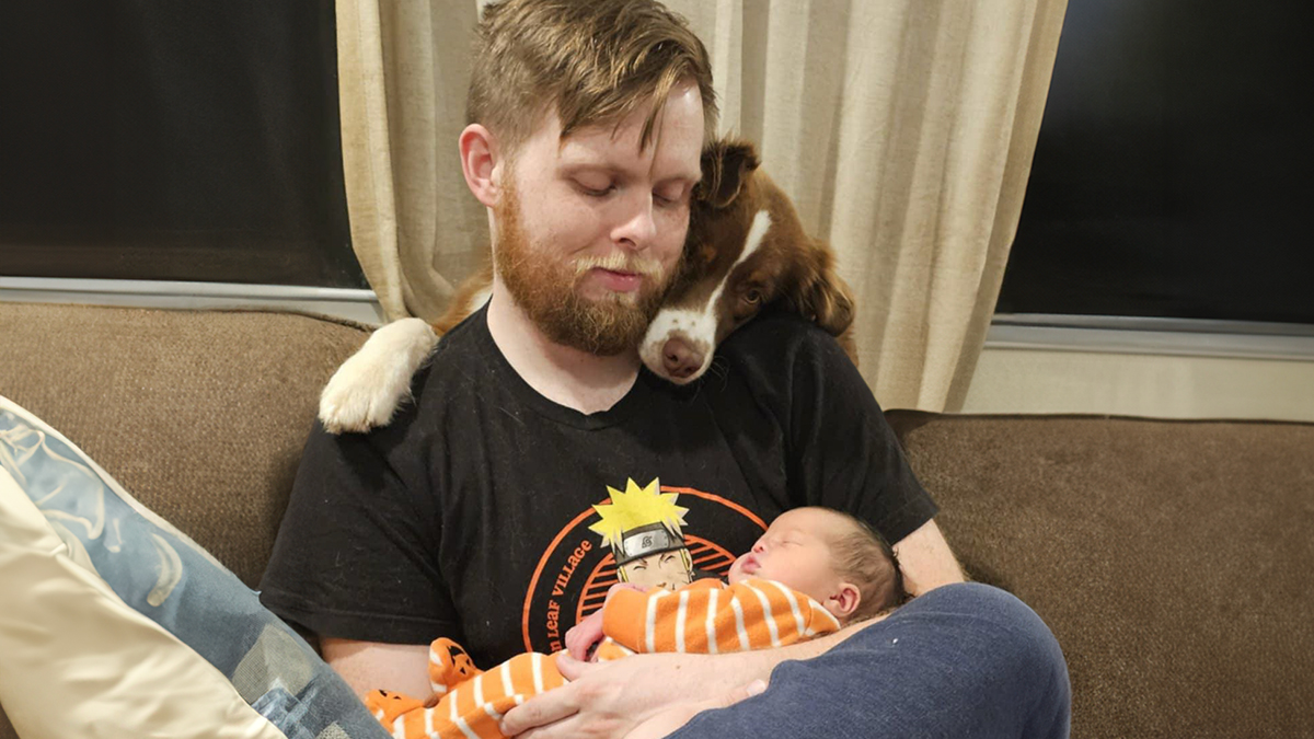 These Dogs Have Been Fawning From A Distance Over Couple’s Newborn Daughter