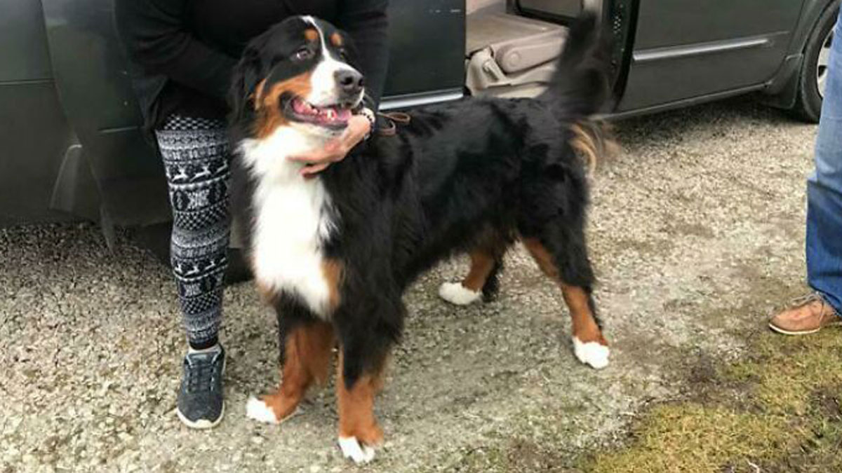 50 Insane Requests That Reeked Of Sheer Entitlement