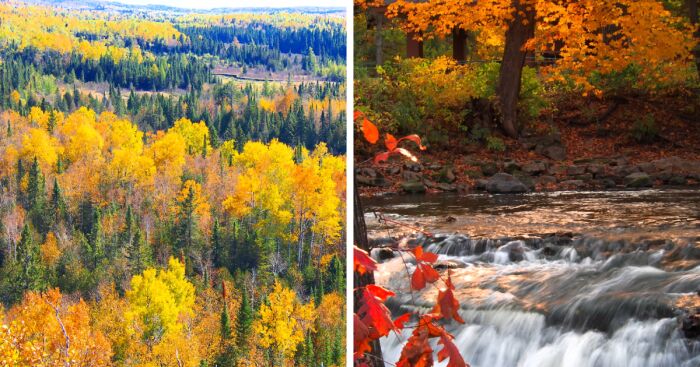 I Photographed Autumn To Show How Shortlived It Is