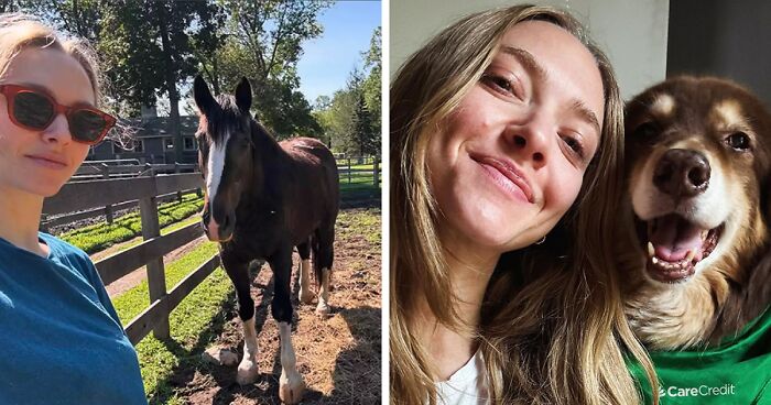 Amanda Seyfried Reveals Why Leaving Hollywood Was The “Best Decision”