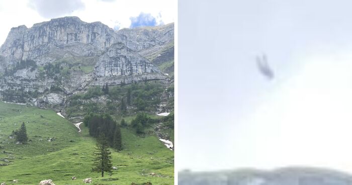 91 Times Objects Blended So Perfectly Into The Background It Took Too Long To Notice Them (New Pics)
