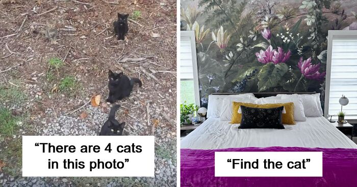 91 Times Objects Blended So Perfectly Into The Background It Took Too Long To Notice Them (New Pics)