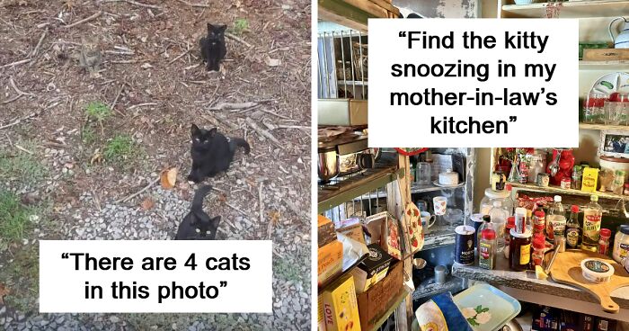91 Times Objects Blended So Perfectly Into The Background It Took Too Long To Notice Them (New Pics)
