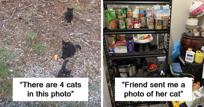 91 Times Objects Blended So Perfectly Into The Background It Took Too Long To Notice Them (New Pics)